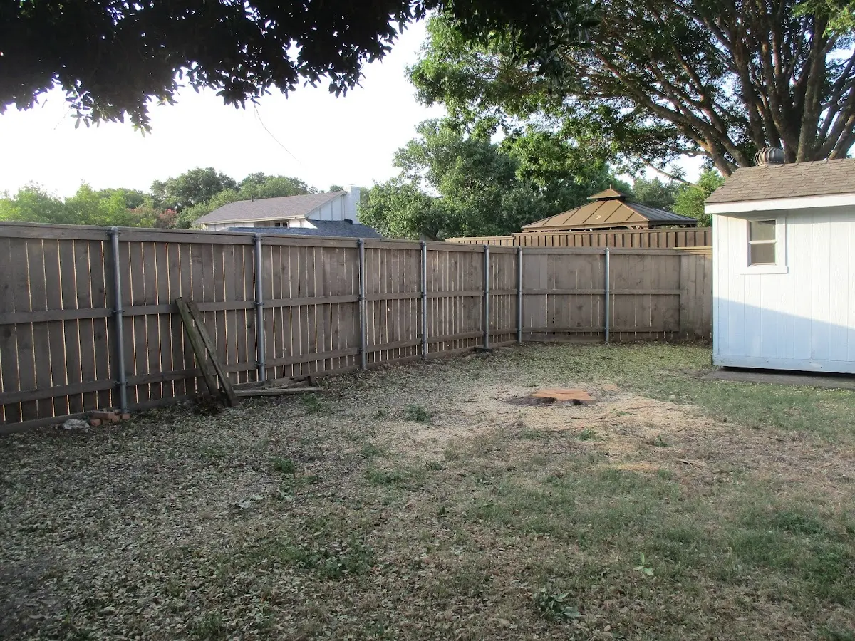 Cleared yard after professional tree removal in Darby